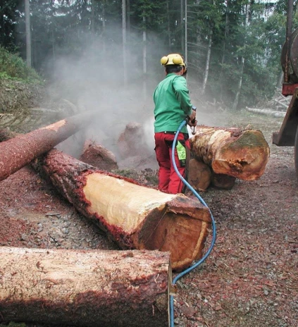 DYNAJET wood debarking 04 web
