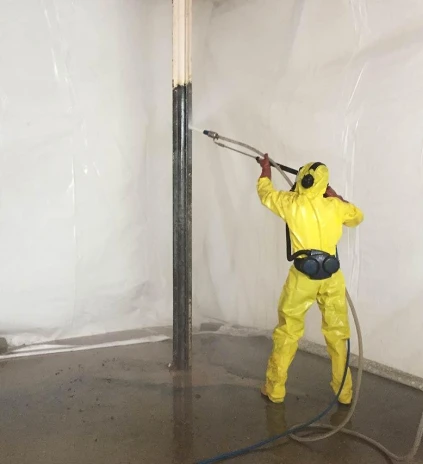 DYNAJET paint removal web